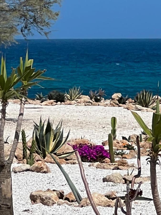 Masseria Ostuni Mare Agri Resort エクステリア 写真